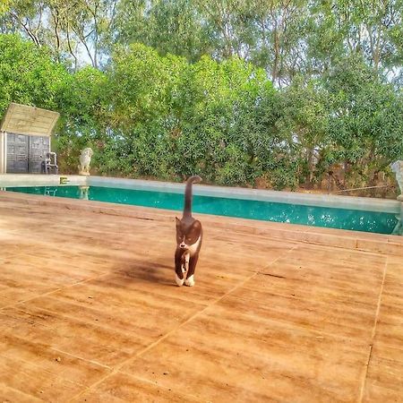 Apartament Granja America Chiclana de la Frontera Zewnętrze zdjęcie