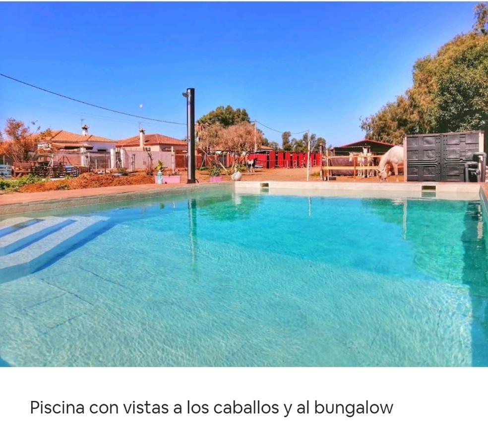 Apartament Granja America Chiclana de la Frontera Zewnętrze zdjęcie